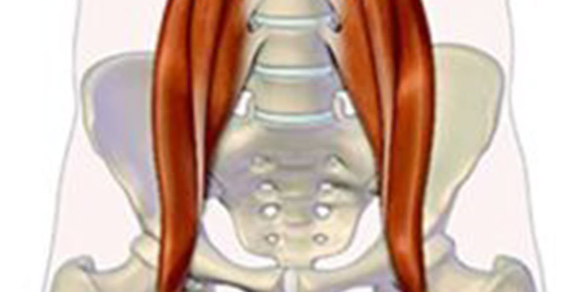 Psoas_02-226x300-1