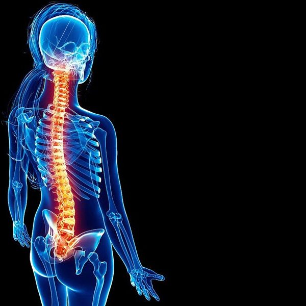 rc-chiro-back